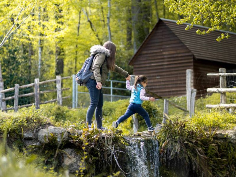 Pourquoi faire appel à une agence de voyage spécialisée famille