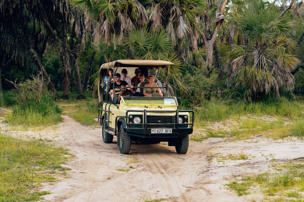 Safari au botswana en famille : conseils pour un séjour réussi avec des enfants