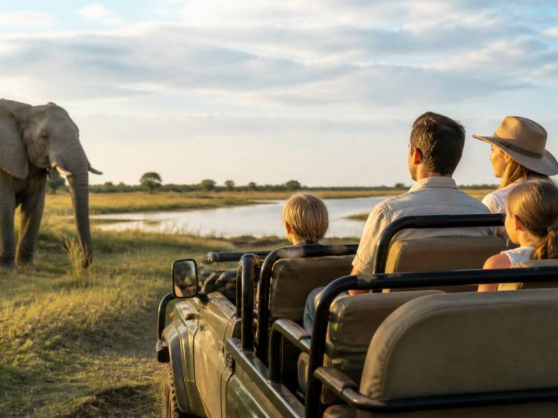 Voyage famille Botswana : vivre un safari sur mesure avec Hors Pistes afrique australe